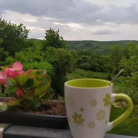 Nirvana Vendeghaz Bakony *
