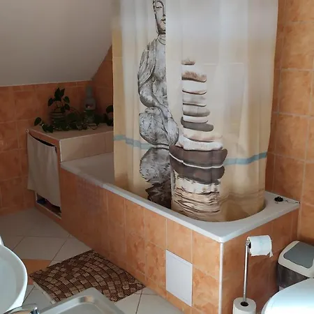 Nirvana Vendeghaz Bakony * Borzavar